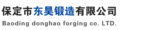 河北保定市东昊锻造有限公司